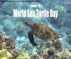 Всемирный день морских черепах